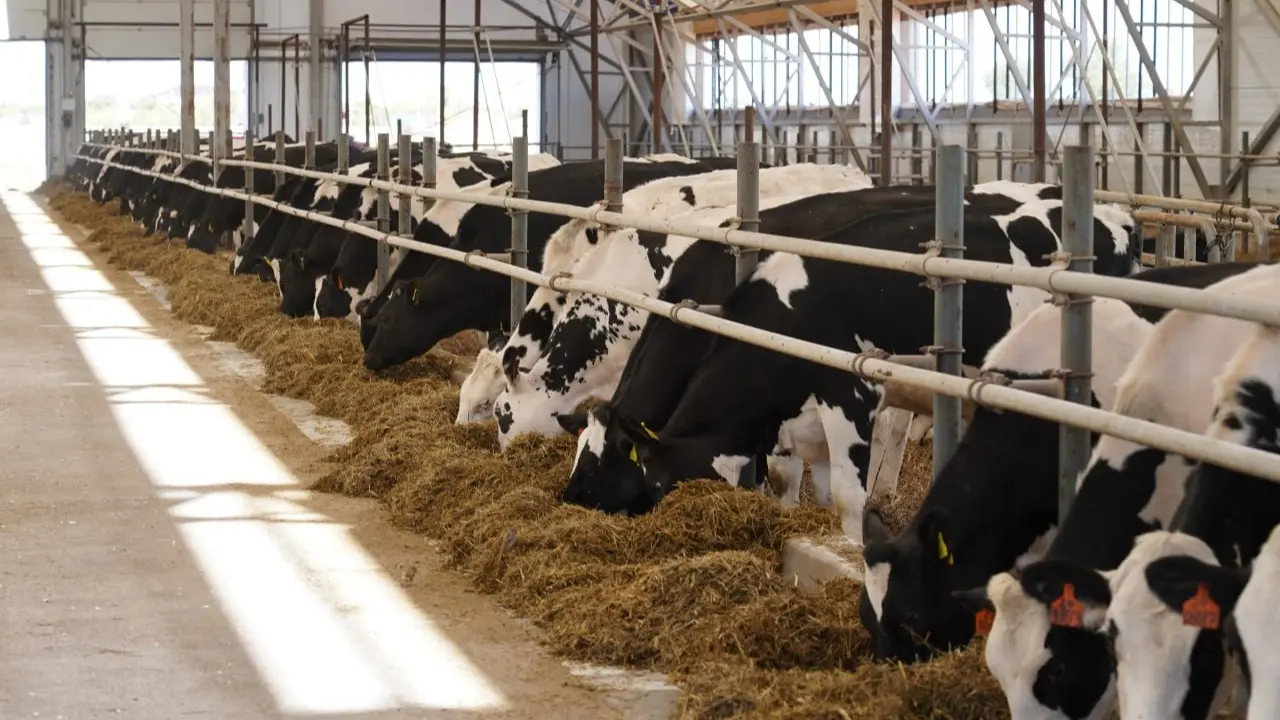 Фото: Primeminister.kz сайты