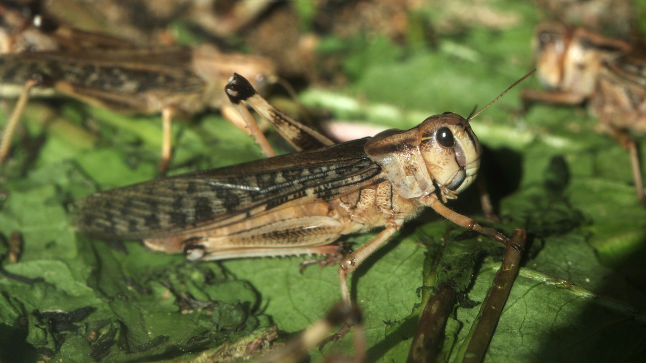 Фото: depositphotos.com
