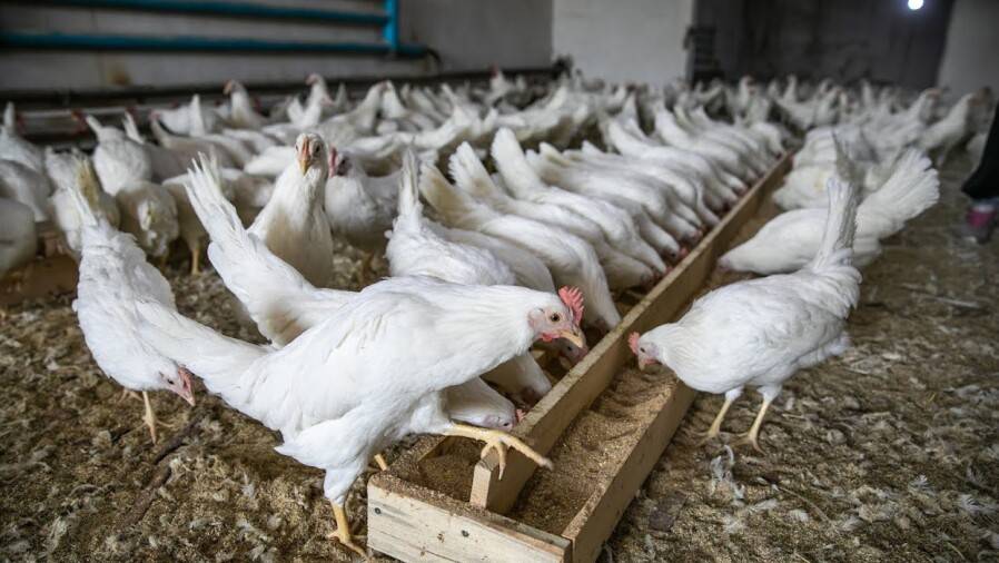 Павлодар облысында ірі кәсіпорын жабылып, жүзден астам адам жұмыссыз қалды