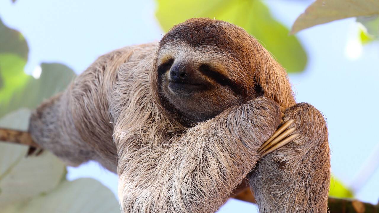 Фото: depositphotos.com