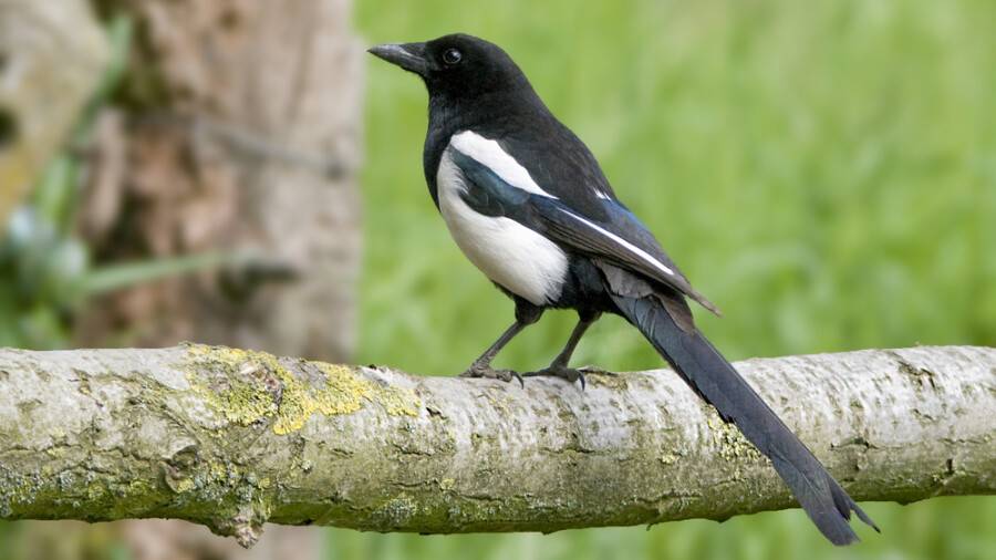 Шәуеттегі қол Аққұба және оргазммен әдемі секс