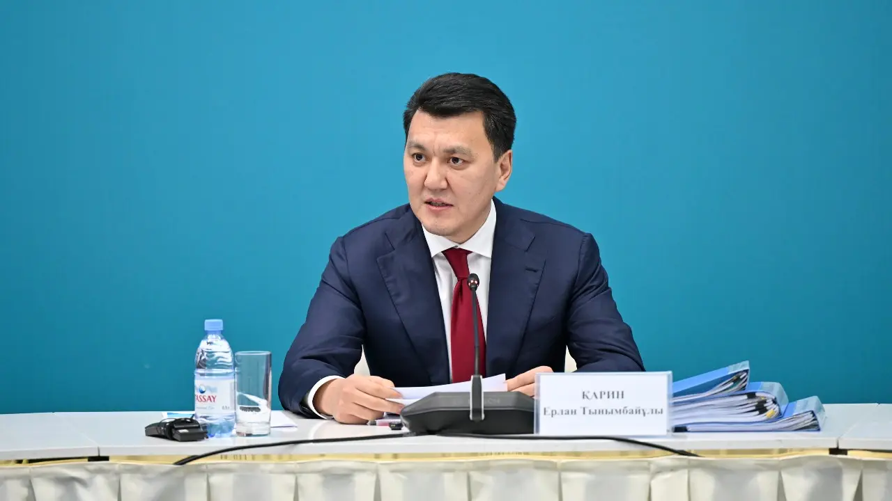 Мемлекеттік кеңесші Ерлан Қарин. Фото: Ақорданың сайты