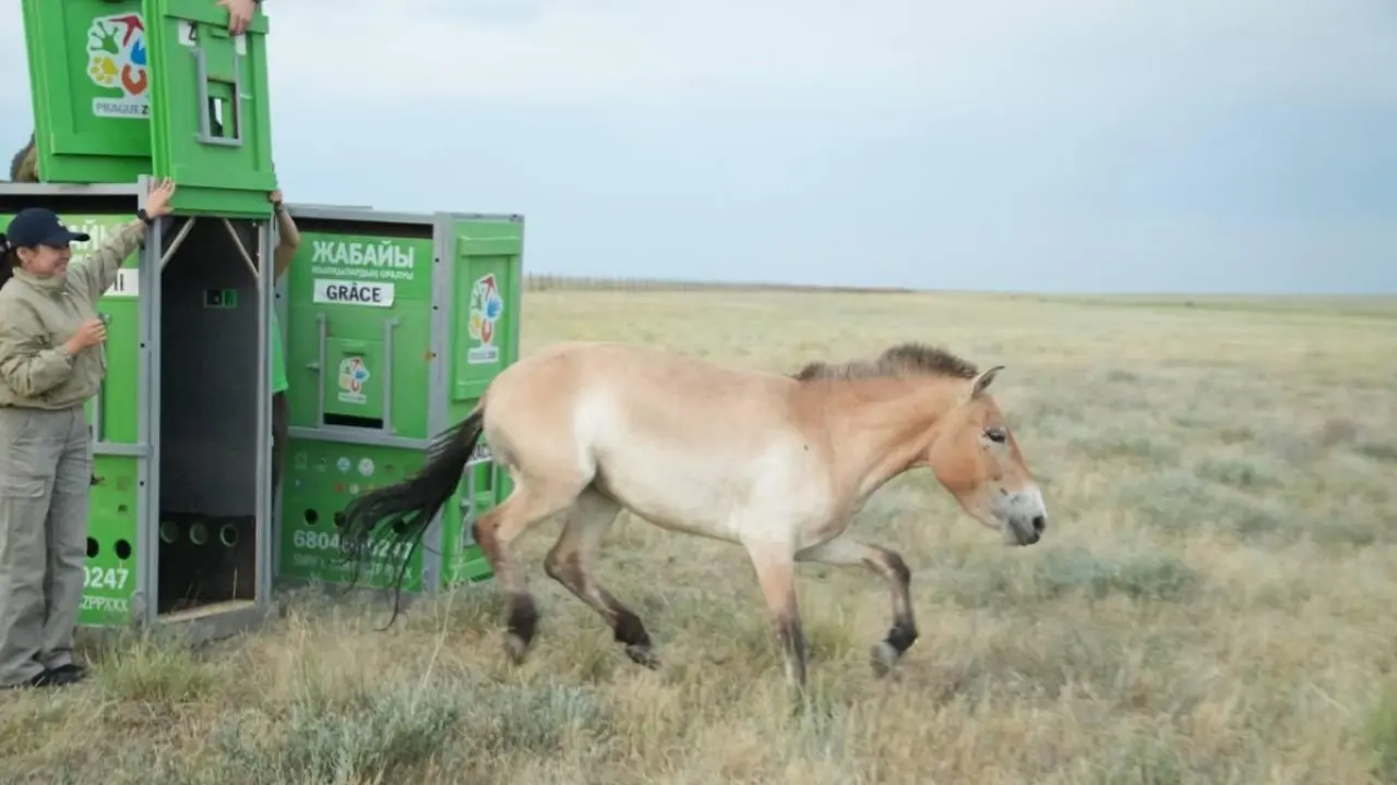 Фото: Экология және табиғи ресурстар министрлігінің ресми сайты