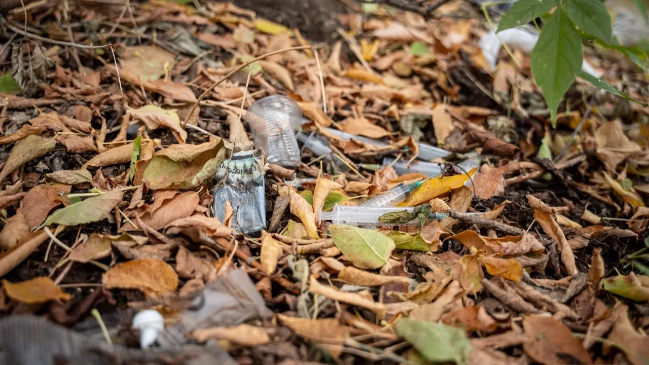 Фото: "Дала қырандары" ұйымы