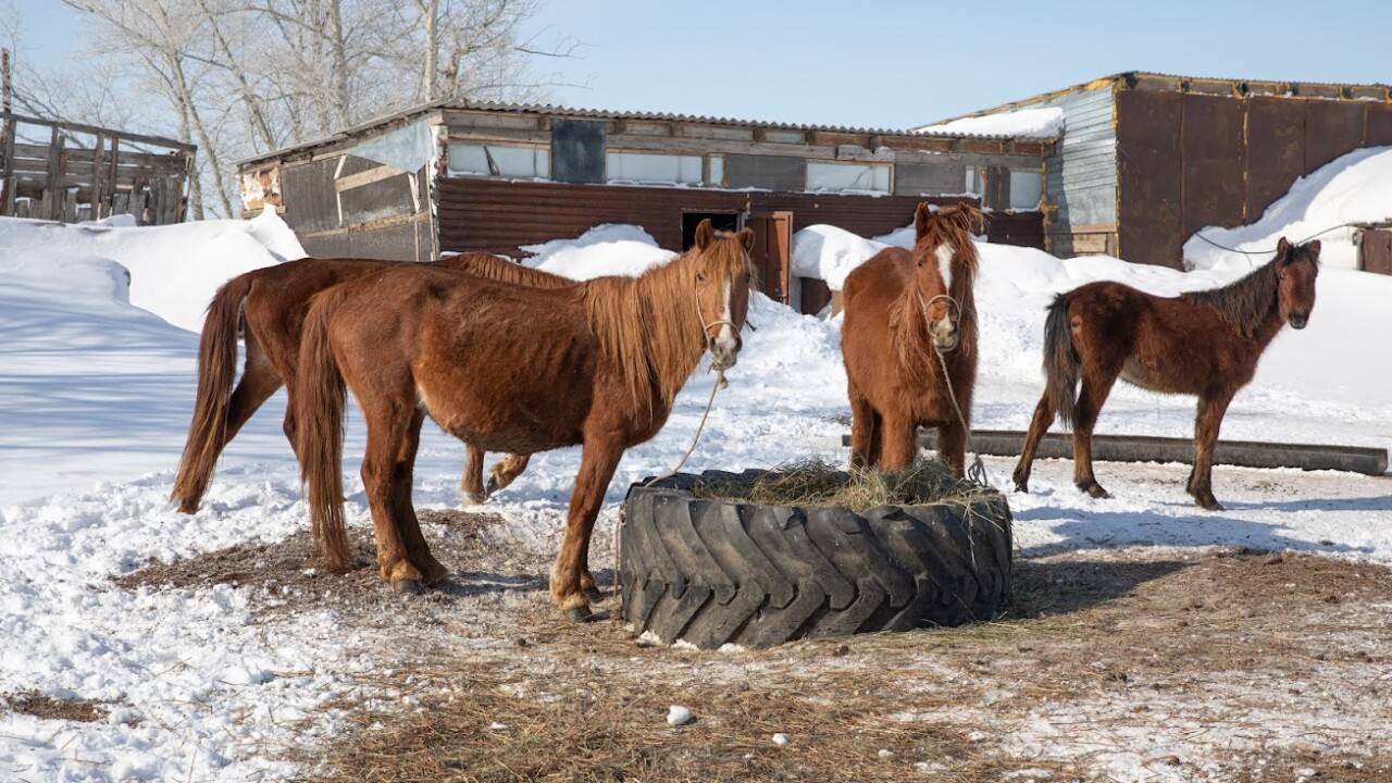 Фото: Информбюро порталы