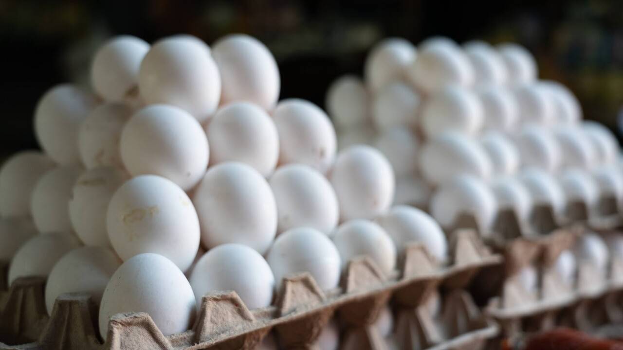 Қазақстанға жұмыртқаны көлікпен әкелуге жарты жылға тыйым салынады