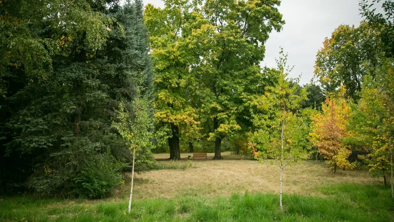 Алматының бас ботаникалық бағындағы тоғанға қоршау орнатылады