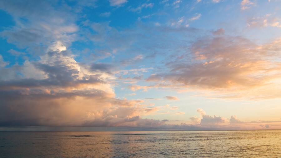 Тәңіршілдік дін бе? ҚМДБ ұстанымы қандай?