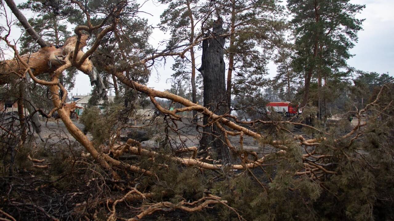 Фото: Информбюро