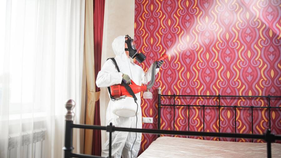 Көршілерін абайсызда улаған ақтаулық тұрғын 6 жылға бас бостандығынан айырылды