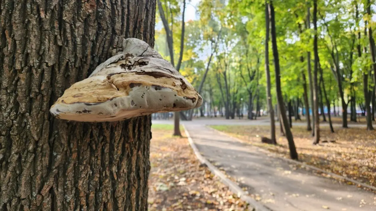 Фото Informburo.kz