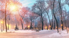 Прогноз погоды на 13 декабря: ослабление морозов ожидается по всему Казахстану