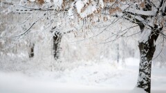 Прогноз погоды на 10 февраля: похолодание и снег ожидаются на юге Казахстана