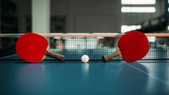Более тысячи учителей физкультуры районных школ обучат настольному теннису