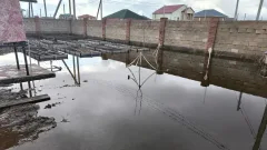Посёлок под Астаной затопило грунтовыми водами