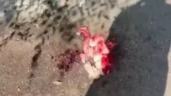 Кусок льда сбросили из многоэтажки на голову жительницы Павлодара, полиция проводит проверку