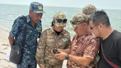 Гибель птиц в природном резервате "Акжайык": признаков инфекций не выявили