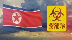 ВОЗ просит Северную Корею поделиться данными о заражённых Covid-19