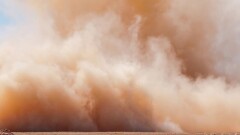 Прогноз погоды на 20 апреля: пыльная буря, гроза и шквал ожидаются местами в Казахстане