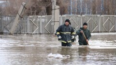 Правительство: Невывезенный снег и недостаточная очистка арыков стали причиной затоплений в регионах