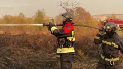 500 человек тушат сразу восемь природных пожаров в Карагандинской области 