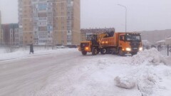 Прогноз погоды на 29 января: снег, метель и сильный ветер ожидаются в Астане