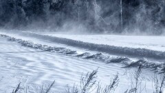 Ветер сорвал крышу школы и оставил без света 38 сёл в Павлодарской области
