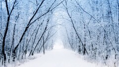Прогноз погоды на 8 декабря: в Алматы ожидается снег