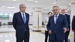 Президенту рассказали о социально-экономическом развитии Жетысуской области