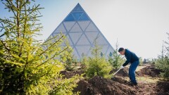 Алтай Кульгинов: Озеленять будем каждый район столицы