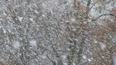 Прогноз погоды на 8 февраля: сильный ветер, метель и гололёд ожидаются на большей части Казахстана