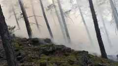 Два пожара произошли в нацпарке "Бурабай"