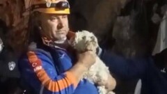 В Турции на 25-й день после землетрясения из-под завалов вытащили живую собаку