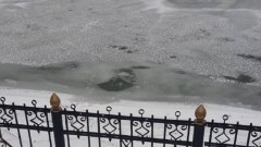 Жительница Астаны спасла провалившегося под лёд 11-летнего мальчика
