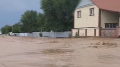 Грязевой поток сошёл на дворы в Алматинской области после сильного дождя