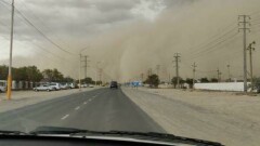 Пыльная буря и сильный ливень накрыли Жанаозен