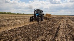 Казахстанские аграрии получили господдержку на 114,7 млрд тенге