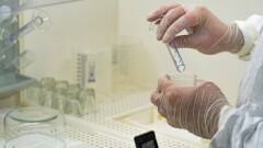 ВОЗ определит вирусы и бактерии, которые могут вызвать пандемии в будущем