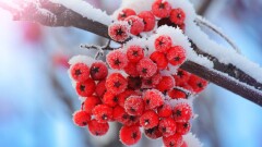 Прогноз погоды на 3 декабря: морозы сохраняются на востоке и севере Казахстана