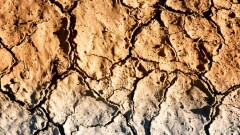 Акимат Аральского района Кызылординской области предложил ввести режим ЧС из-за засухи
