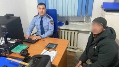 Убийство лебедя в Кызылординской области: полиция раскрыла преступление 9-летней давности