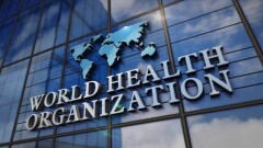ВОЗ объявила оспу обезьян глобальной чрезвычайной ситуацией