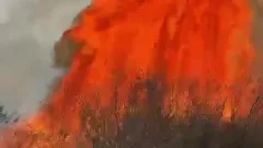 Сухая трава загорелась вдоль канала в Кызылорде, под угрозой оказались здания и дома