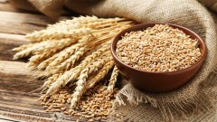 Глава МСХ отчитался Токаеву об обеспечении Казахстана сельхозпродукцией