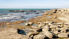 Отдыхающие вытащили тонущих подростков из воды в Актау, один мальчик умер