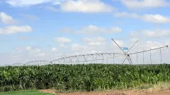 Как используют воду для полива полей в Кызылординской области, проверил Бозумбаев 