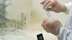 В ВОЗ сообщили о 70 смертях от оспы обезьян в пяти странах Африки