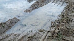 Склоновый сток затопил дорогу и дворы в Алматинской области