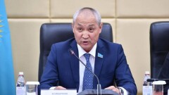 Депутат "Жаңа Қазақстан": Принимать норму об однократном 7-летнем президентстве надо до внеочередных выборов