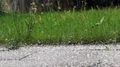 Прогноз погоды на 18 мая: град ожидается на юге страны, на севере и востоке сохраняются заморозки